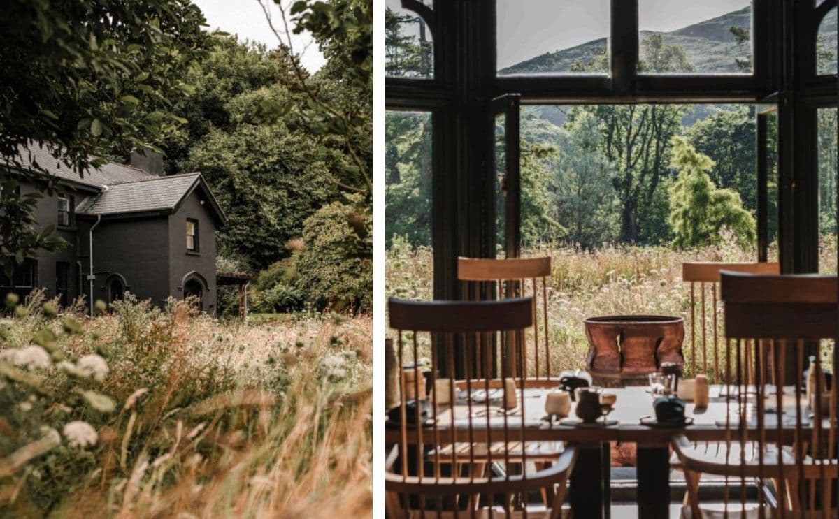 Images for Ynyshir: Breaking boundaries in Wales