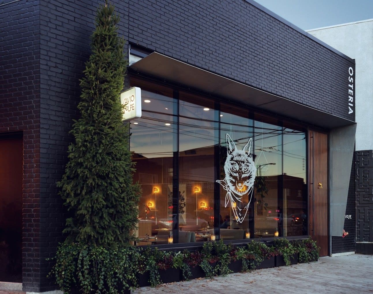 Images for Savio Volpe